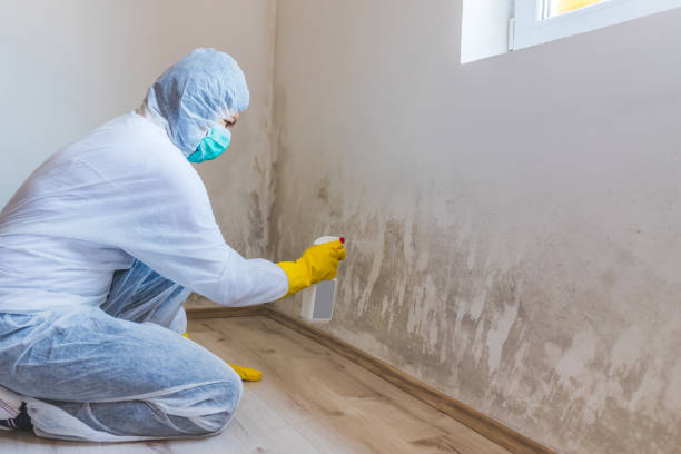 Crawl Space Mold Remediation treatment of floor joists in South Saint Paul